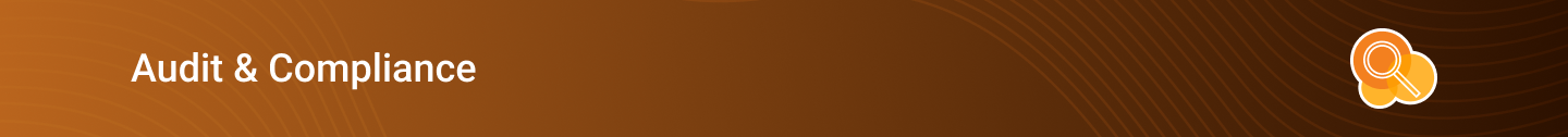 audit.png