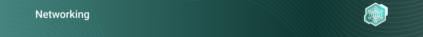 netowking-banner.png