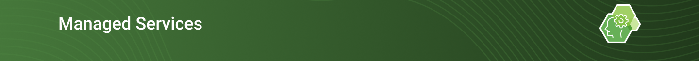 managed services banner.png